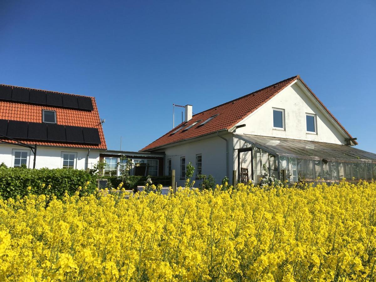 Margretelyst Bed & Breakfast Farso Exterior photo